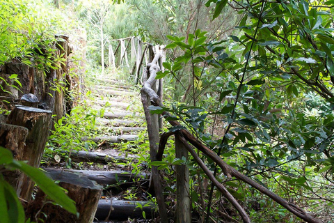 Levadavandring och vattenfallen Caldeirao Verde: MadeiraMadeira: Levada-vandring &amp; vattenfallet Caldeirao Verde