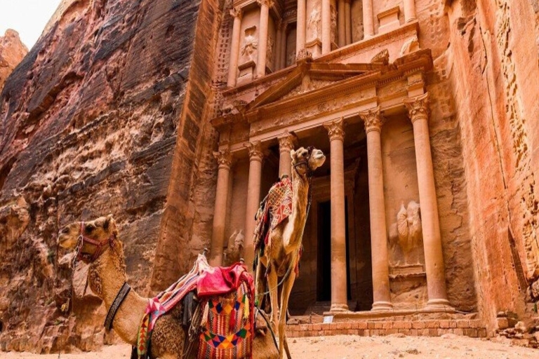 Desde Ammán: Tour privado de un día a Petra y el Mar Muerto (con almuerzo)Desde Ammán: Tour privado de un día a Petra y el Mar Muerto