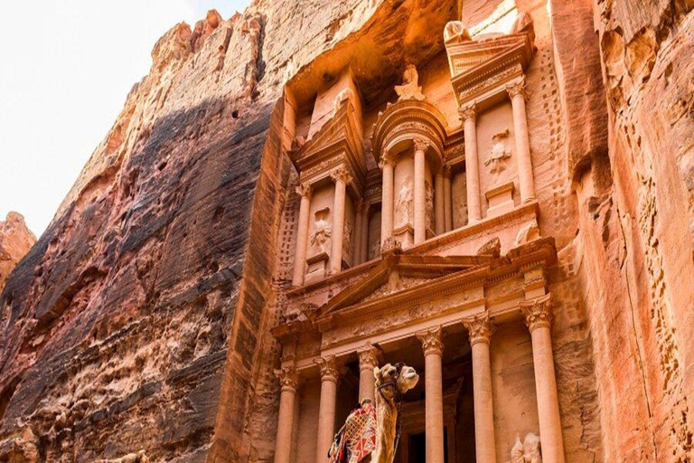 Von Amman aus: Private Tagestour nach Petra und zum Toten Meer (mit Mittagessen)Von Amman aus: Private Tagestour nach Petra und zum Toten Meer