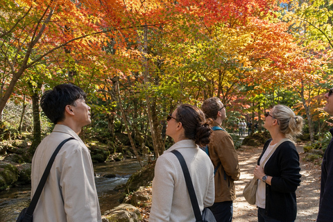 Kanazawa: Kenrokuen Autumn Colors & Castle Walk Early Bird 20% Off – Limited Autumn Offer