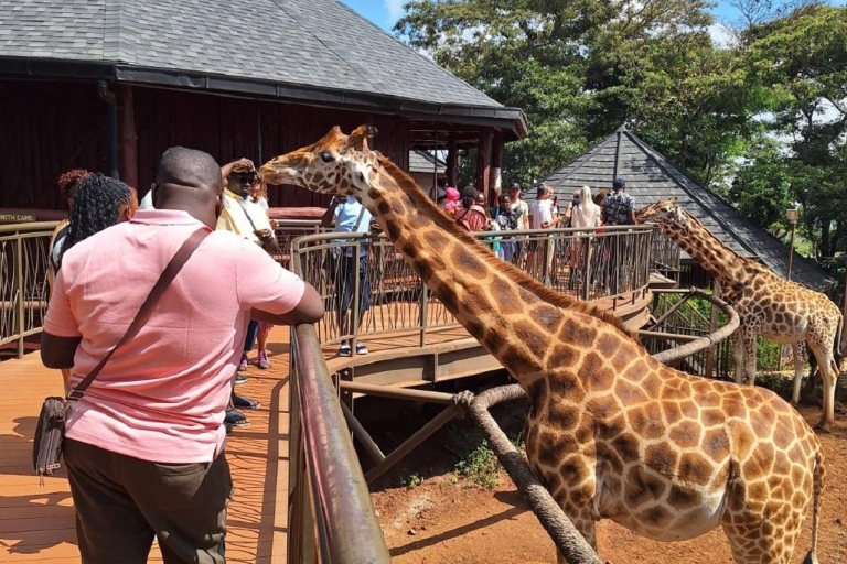 Nairobi: Nationaal Park, Olifantenweeshuis & Giraffencentrum
