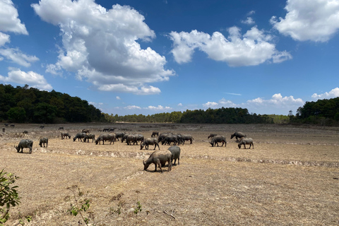 Dalat: Three Waterfalls Small Group Tour - Alpine Coaster