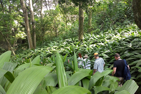 Rio de Janeiro: Burle Marx Site and Secret Beaches Day Tour