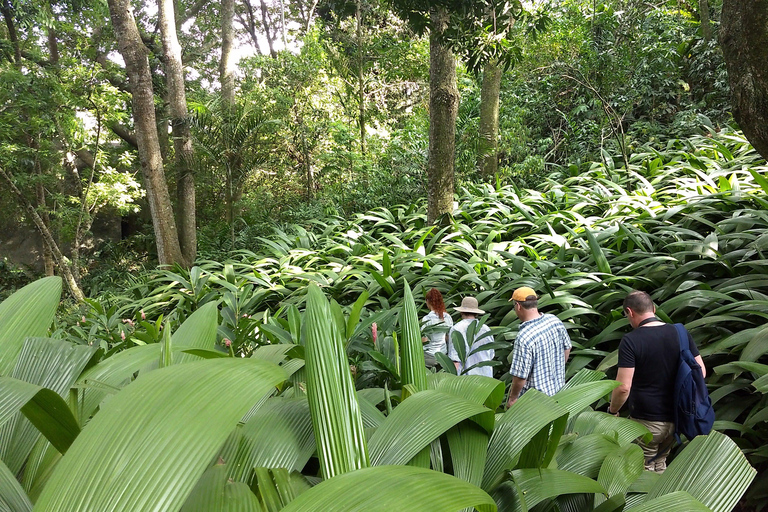 Rio de Janeiro: Burle Marx Site and Secret Beaches Day Tour