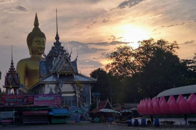 Bangkok to Ayutthaya, Big Buddha Monkey Temple & Hidden Cafe