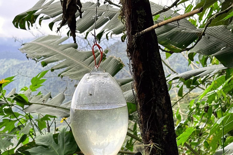 Visite de Quito et du centre du monde + observation des oiseauxBillets et déjeuner inclus