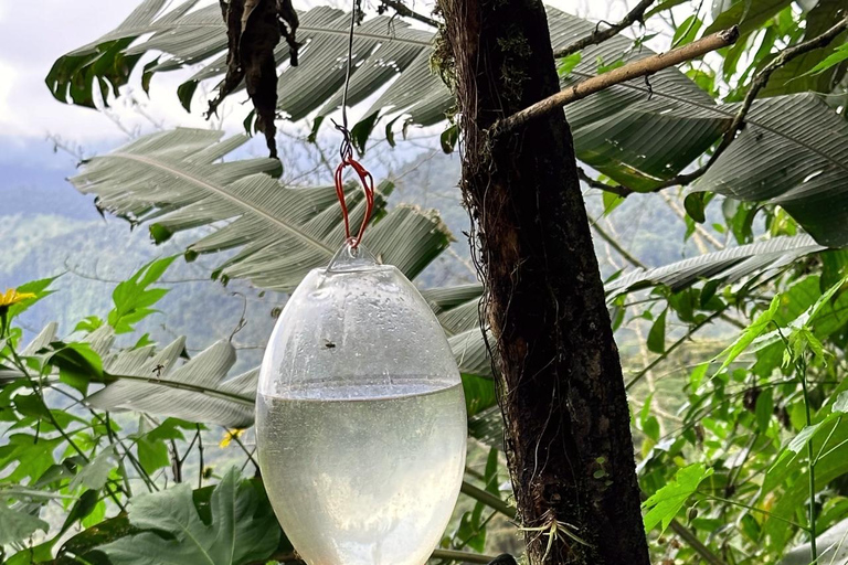 Tour della città di Quito e del Mondo di Mezzo+BirdwatchingTour privato