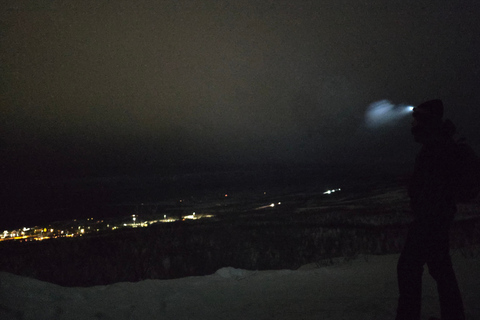 Abisko: Aurora Night & Swedish Glögg - Snowshoe Experience