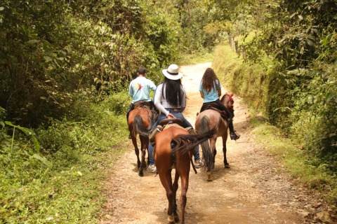 Randonnée à cheval dans les belles montagnes de Medellin