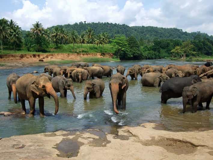 Kandy City Tour with Pinnawala Day Tour By Tuk Tuk