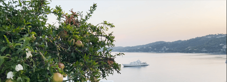 Explorer la ville de Skiathos : une promenade historique
