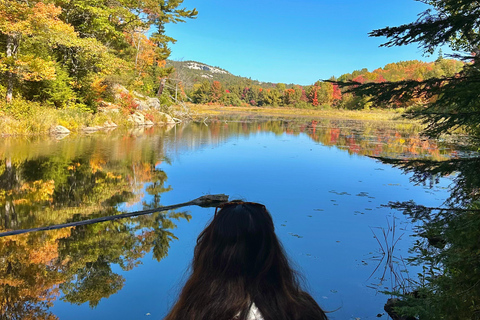 Muskoka: High Falls, Hardy Lake, & Huckleberry Rock Tour