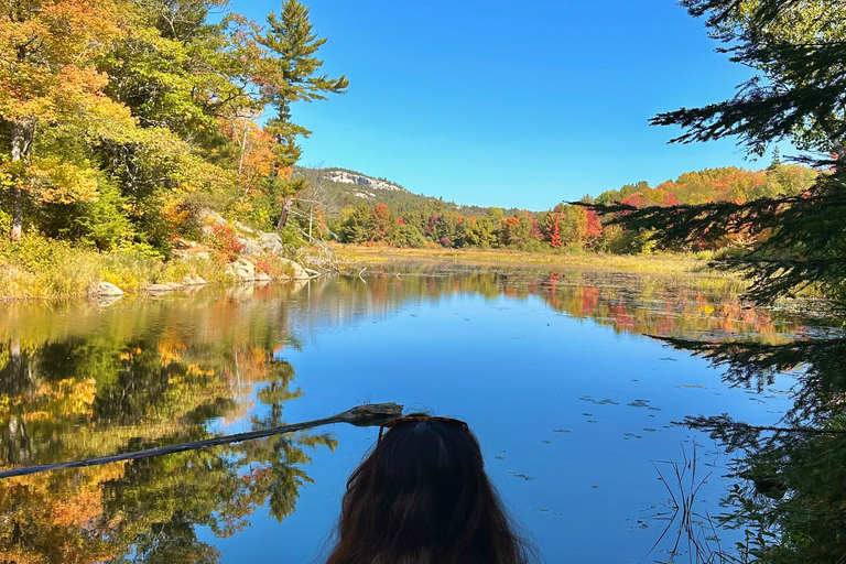 Muskoka: High Falls, Hardy Lake e Huckleberry Rock Tour