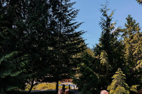 Bainbridge Island Discovery Tour