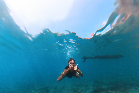 Ohrid: Stand Up Paddleboarding Tour with Landmarks &amp; Photos