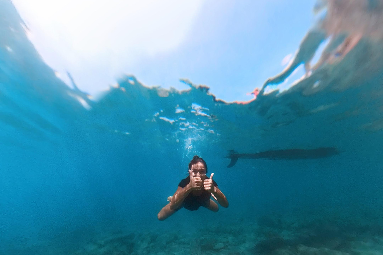 Ohrid: Stand Up Paddleboarding Tour with Landmarks &amp; Photos