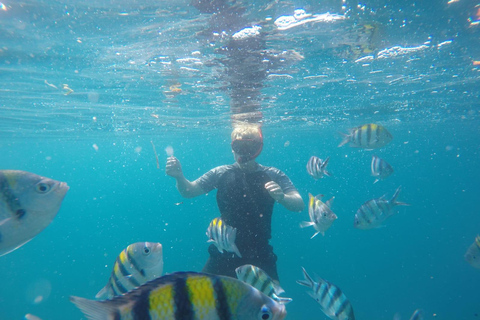 Excursão a Lombok e mergulho com snorkel: Gili Kedis, Nanggu e Sudak