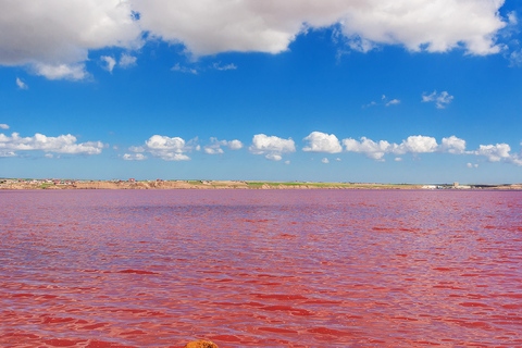 Absheron: Gobustan, Pink Lake, and Burning Mountain Tour