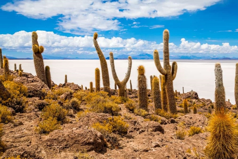 Desde La Paz: Salar de Uyuni 2D/1N con Todo Incluido