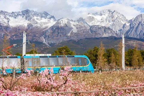 Lijiang: Jade Dragon Snow Mountain with Scenic Train Tour