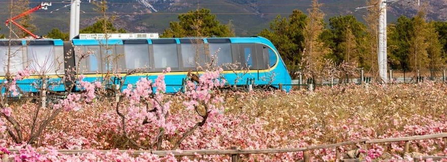 Montagne enneigée du Dragon de Jade, vallée de Dongba, Impression Lijiang