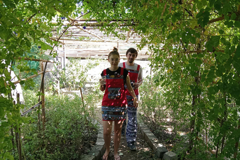 Chiang Mai : Cours de cuisine, visite du marché et du jardin d'herbes thaïlandaises