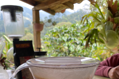 From Medellín: Half Day Private Coffee Tour