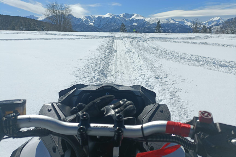 Zakopane: Snowmobile, Quad, or Buggy Tatra Mountains Tour