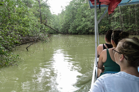 مانويل أنطونيو: جولة بالقارب بين أشجار المانغروف لمشاهدة الحيوانات