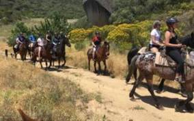 Vrede en Lust Wine Estate: 1h30m Horse Trail Ride