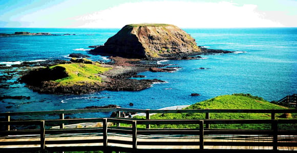 Melbourne：Phillip Island Tour 1 Day Tour