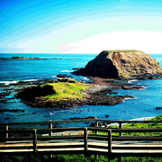 Melbourne：Phillip Island Tour 1 Day Tour