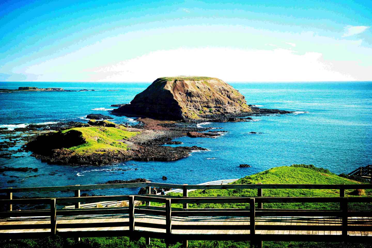 Melbourne?Phillip Island Tour 1 Day Tour - Melbourne：Phillip Island Tour 1 Day Tour