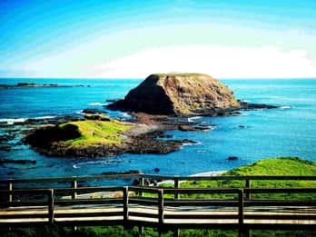 Melbourne：Phillip Island Tour 1 Day Tour