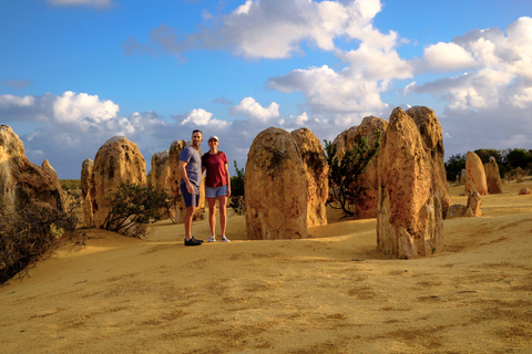 Depuis Perth : Pinnacles, ferme de la lavande et Lobster Shack