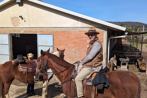 Firenze: Tour a cavallo con degustazione di vini e trasferimento