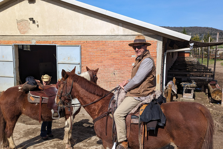 Firenze: Tour a cavallo con degustazione di vini e trasferimento