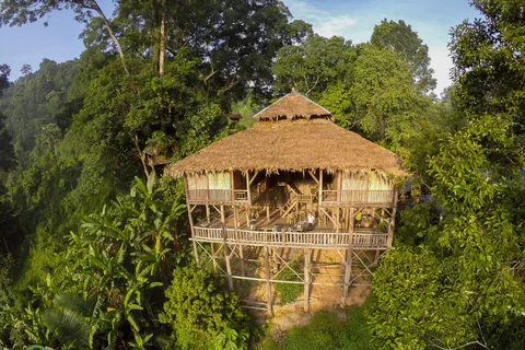 Chiang Mai: Tree House Stay & Jungle Zip-Lining