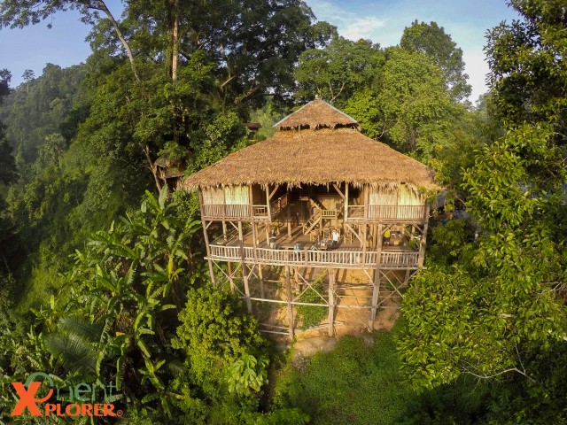 Visit Chiang Mai Tree House Stay & Jungle Zip-Lining in Chiang Mai