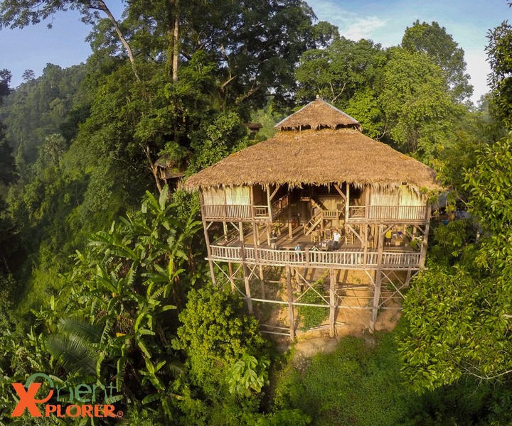 Chiang Mai: Tree House Stay & Jungle Zip-Lining