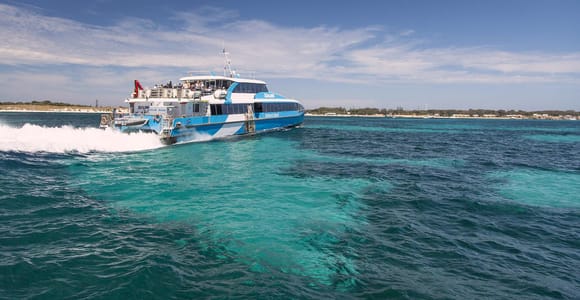 Von Perth oder Fremantle aus: Rottnest Island Fähre und Bustour