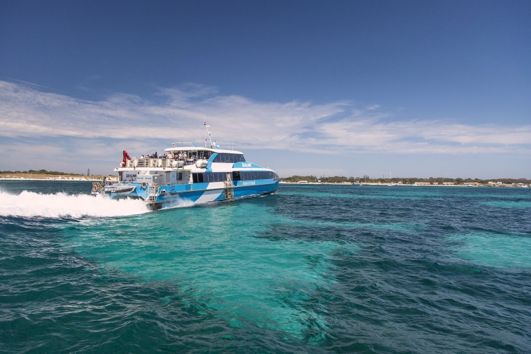 Desde Perth o Fremantle: ferri a isla de Rottnest y tour en autobúsDesde Fremantle: 9 AM Ferry y 1:45 PM Excursión en autobús Bayseeker