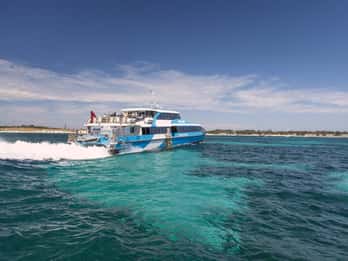 From Perth or Fremantle: Rottnest Island Ferry and Bus Tour