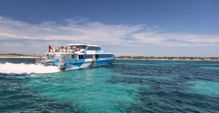 From Perth or Fremantle Rottnest Island Ferry and Bus Tour