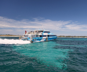 Depuis Perth ou Fremantle : Ferry et visite en bus de l'île de Rottnest