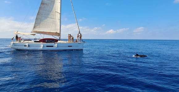 Marbella: Small-Group Sailing & Dolphin Watching with Drinks