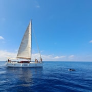 Marbella: Sailing & Dolphin Watching with Snacks and Drinks