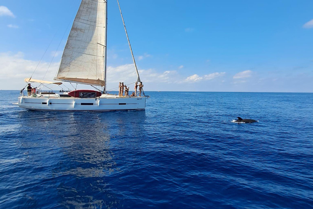 Marbella: Sailing & Dolphin Watching with Snacks and Drinks