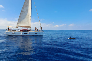 Marbella: Sailing & Dolphin Watching with Snacks and Drinks