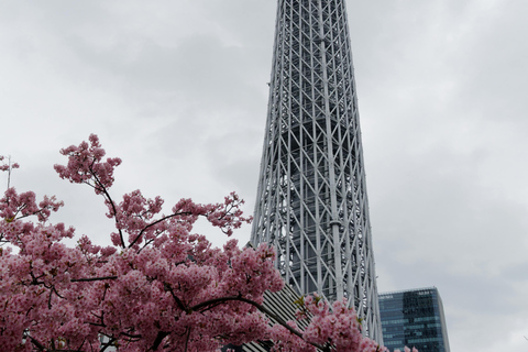 Tokyo Private Tour by Car/Van with English Speaking Driver Tokyo Private Tour by Car/Van with English Speaking Driver